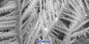 Hazard of Silver Migration Phenomenon of NTC Thermistor Chip - Exsense